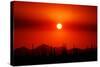 Smokey Sunset-Douglas Taylor-Stretched Canvas