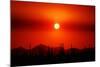 Smokey Sunset-Douglas Taylor-Mounted Photographic Print