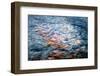 Smokey Water-Ursula Abresch-Framed Premium Photographic Print