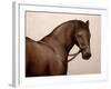 Smokey-Sydney Edmunds-Framed Giclee Print