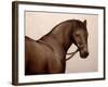 Smokey-Sydney Edmunds-Framed Giclee Print