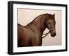 Smokey-Sydney Edmunds-Framed Giclee Print