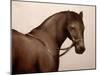 Smokey-Sydney Edmunds-Mounted Giclee Print