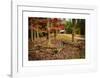 Smokies Cabin-Robert Lott-Framed Giclee Print