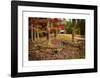 Smokies Cabin-Robert Lott-Framed Giclee Print