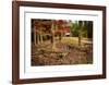 Smokies Cabin-Robert Lott-Framed Giclee Print