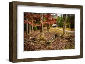 Smokies Cabin-Robert Lott-Framed Art Print