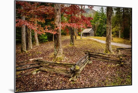 Smokies Cabin-Robert Lott-Mounted Art Print