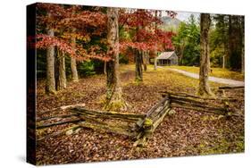 Smokies Cabin-Robert Lott-Stretched Canvas