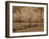 Smokies Fence-Wendy Caro-Framed Giclee Print