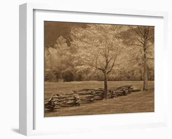 Smokies Fence-Wendy Caro-Framed Giclee Print