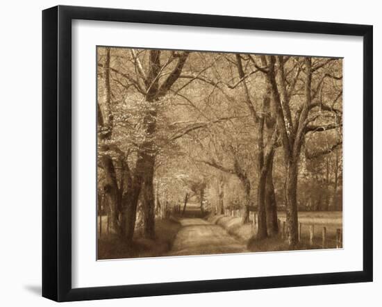 Smokies Road-Wendy Caro-Framed Giclee Print