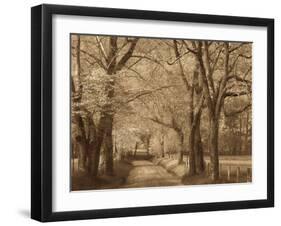 Smokies Road-Wendy Caro-Framed Giclee Print