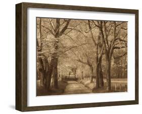 Smokies Road-Wendy Caro-Framed Giclee Print