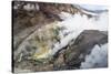 Smoking Fumaroles on Mutnovsky Volcano, Kamchatka, Russia-Michael Runkel-Stretched Canvas