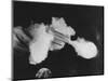 Smoking Gun, c.1939-null-Mounted Photographic Print