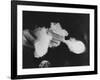 Smoking Gun, c.1939-null-Framed Photographic Print