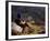 Smoking Her Pipe, a Naxi Woman Rests after Crossing a Precarious Pipe Bridge High Above the Yangtse-Amar Grover-Framed Photographic Print