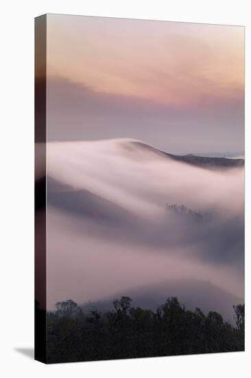 Smoky Fog Sweeps, Marin Headlands, Northern California-Vincent James-Stretched Canvas