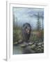 Smoky Mountain Black Bear-Robert Wavra-Framed Giclee Print