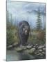 Smoky Mountain Black Bear-Robert Wavra-Mounted Giclee Print