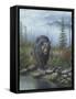 Smoky Mountain Black Bear-Robert Wavra-Framed Stretched Canvas