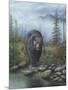 Smoky Mountain Black Bear-Robert Wavra-Mounted Giclee Print