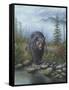 Smoky Mountain Black Bear-Robert Wavra-Framed Stretched Canvas