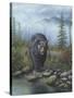 Smoky Mountain Black Bear-Robert Wavra-Stretched Canvas