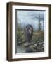 Smoky Mountain Black Bear-Robert Wavra-Framed Giclee Print