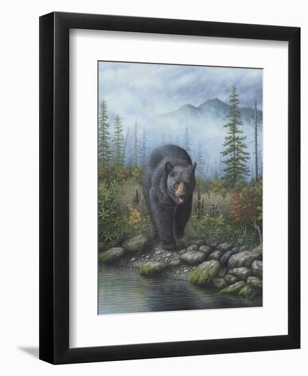 Smoky Mountain Black Bear-Robert Wavra-Framed Giclee Print