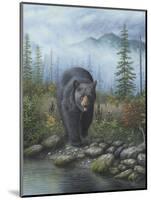 Smoky Mountain Black Bear-Robert Wavra-Mounted Giclee Print