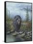 Smoky Mountain Black Bear-Robert Wavra-Framed Stretched Canvas