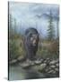 Smoky Mountain Black Bear-Robert Wavra-Stretched Canvas