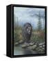 Smoky Mountain Black Bear-Robert Wavra-Framed Stretched Canvas