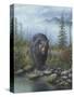 Smoky Mountain Black Bear-Robert Wavra-Stretched Canvas