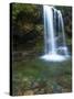 Smoky Mountain Natioanl Park: a Hiker Running Behind Grotto Falls-Brad Beck-Stretched Canvas