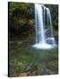 Smoky Mountain Natioanl Park: a Hiker Running Behind Grotto Falls-Brad Beck-Stretched Canvas