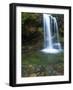 Smoky Mountain Natioanl Park: a Hiker Running Behind Grotto Falls-Brad Beck-Framed Photographic Print