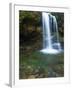 Smoky Mountain Natioanl Park: a Hiker Running Behind Grotto Falls-Brad Beck-Framed Photographic Print