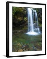 Smoky Mountain Natioanl Park: a Hiker Running Behind Grotto Falls-Brad Beck-Framed Photographic Print