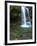 Smoky Mountain Natioanl Park: a Hiker Running Behind Grotto Falls-Brad Beck-Framed Photographic Print