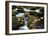 Smoky Mountain National Park, Tennessee: a Small Stream Flowing in Roaring Forks-Brad Beck-Framed Photographic Print