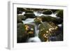 Smoky Mountain National Park, Tennessee: a Small Stream Flowing in Roaring Forks-Brad Beck-Framed Photographic Print