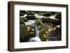 Smoky Mountain National Park, Tennessee: a Small Stream Flowing in Roaring Forks-Brad Beck-Framed Photographic Print