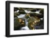 Smoky Mountain National Park, Tennessee: a Small Stream Flowing in Roaring Forks-Brad Beck-Framed Photographic Print
