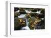 Smoky Mountain National Park, Tennessee: a Small Stream Flowing in Roaring Forks-Brad Beck-Framed Photographic Print