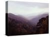 Smoky Mountains in the Mist-Rick Barrentine-Stretched Canvas