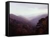 Smoky Mountains in the Mist-Rick Barrentine-Framed Stretched Canvas