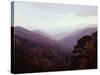 Smoky Mountains in the Mist-Rick Barrentine-Stretched Canvas